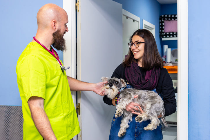 Want to work with Animals? All you need to know about getting into the industry