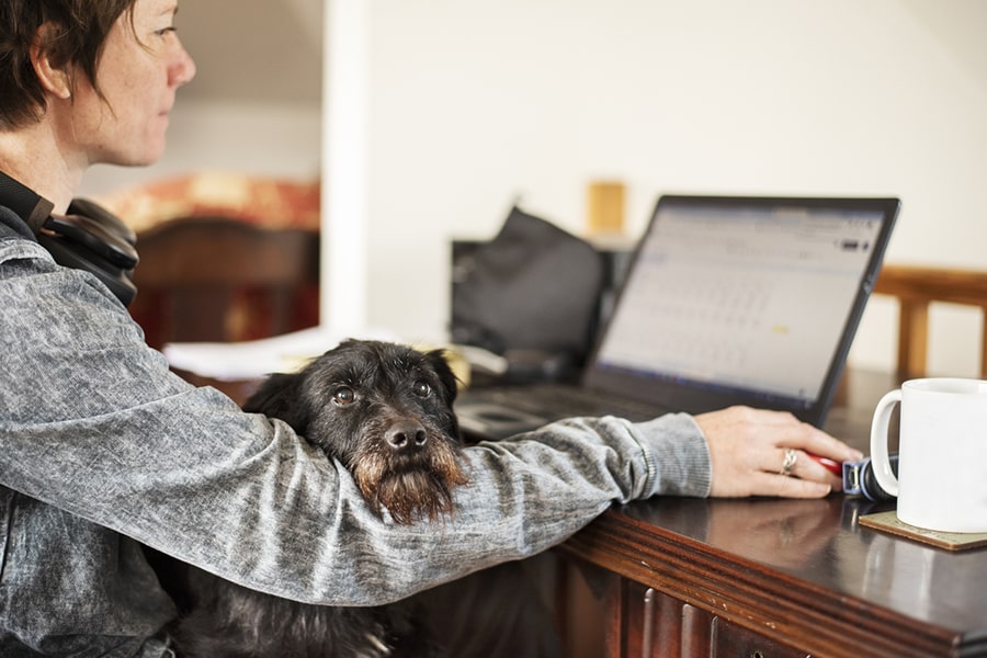What is competency-based training?
